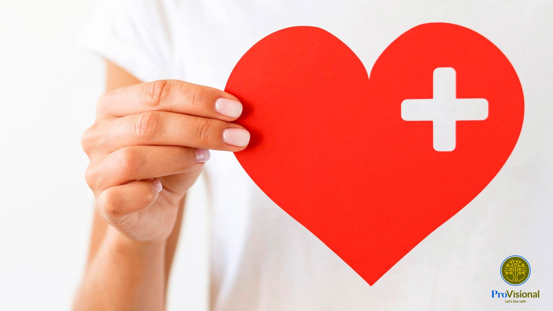 Seguro-de-salud-2-Blog-ProVisional